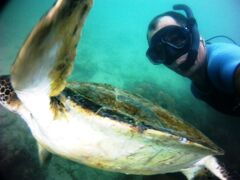 Snorkel guiado em água rasa e clara sobre os recifes de Bombinhas.